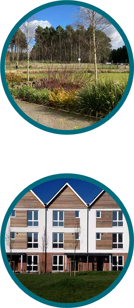 Southern Neighbourhood images