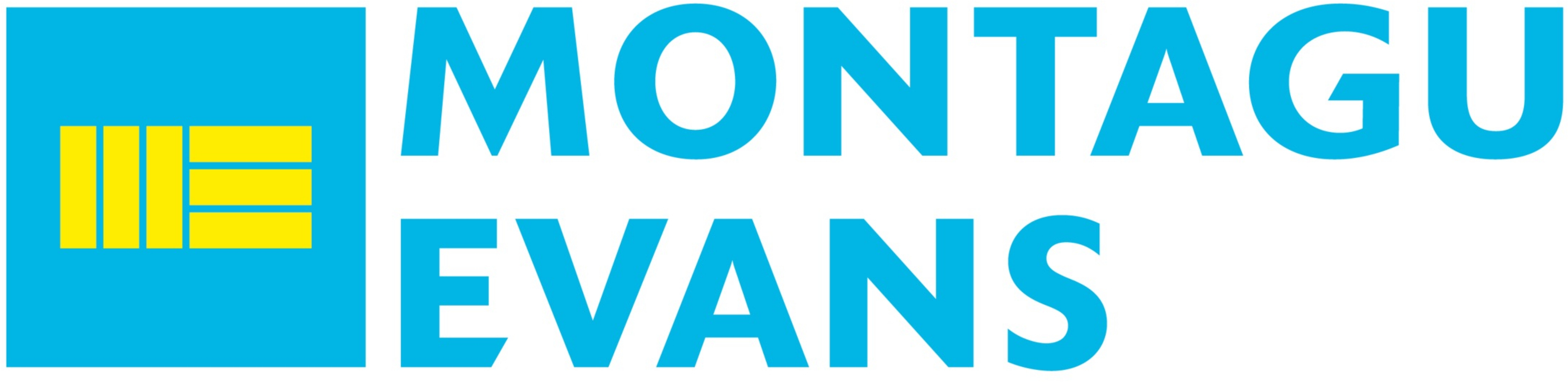 Montagu Evans logo